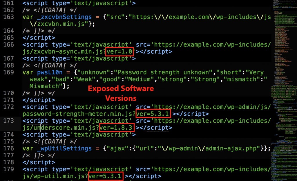 Examples of Exposed Software Versions in WordPress